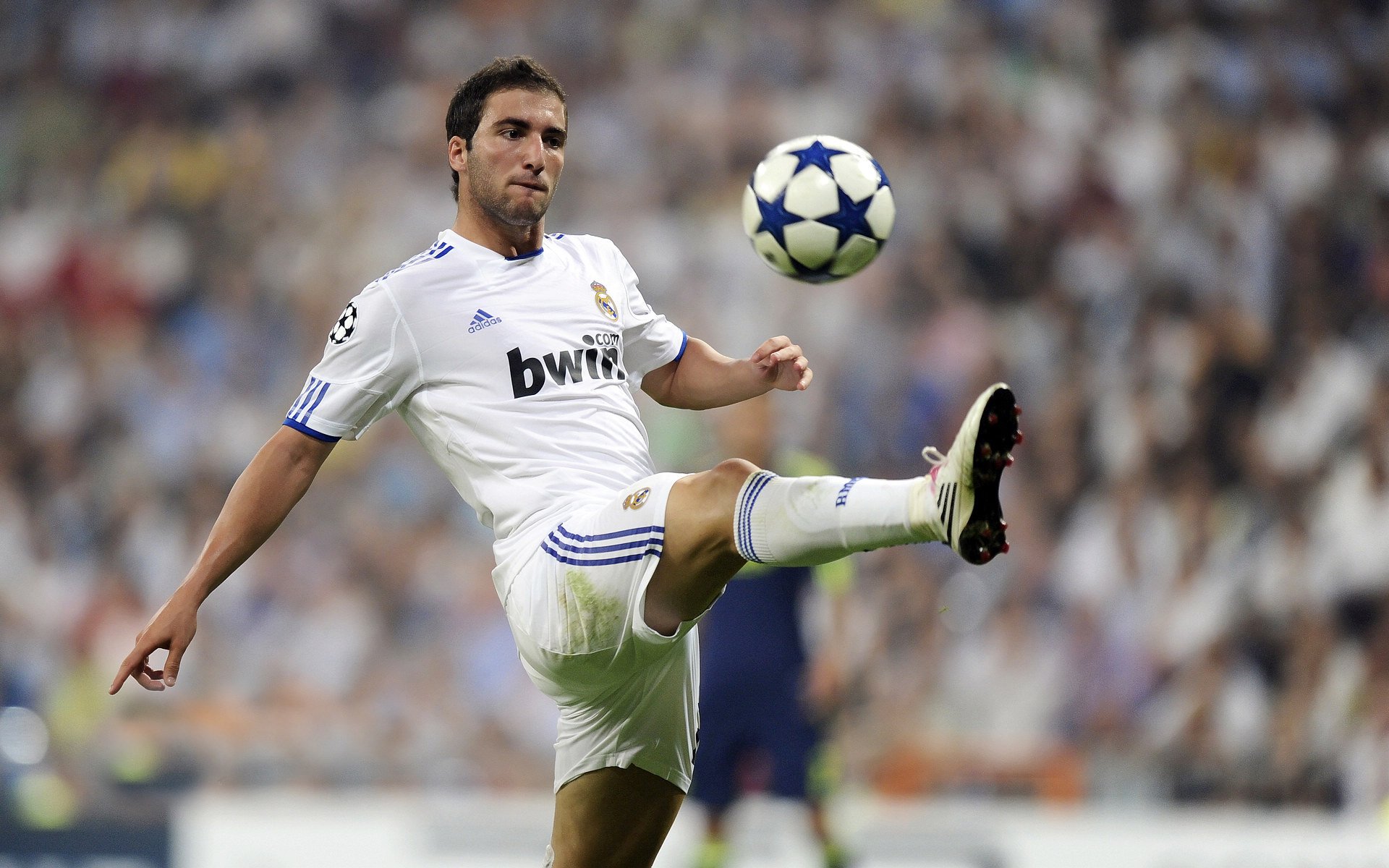 独行侠球员合力装饰训练馆营造专属氛围